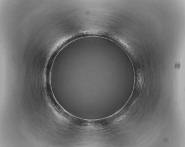 X0000094180678200711021006