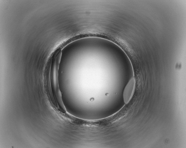 X0000094180680200711021006
