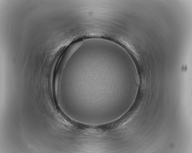 X0000094180681200711021006
