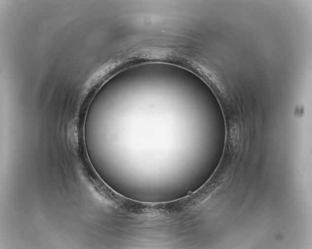 X0000094180682200711021006