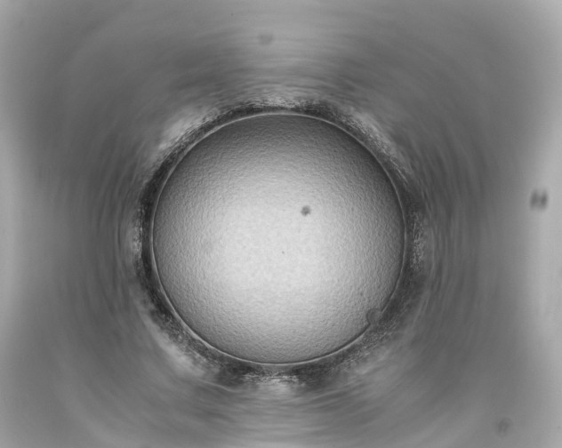 X0000094180683200711021006