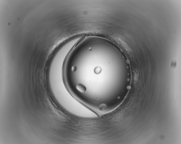 X0000094180684200711021006