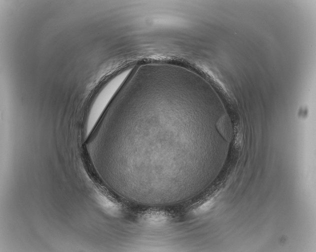 X0000094180685200711021006