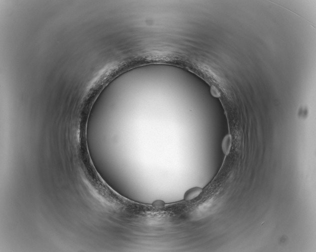 X0000094180686200711021006