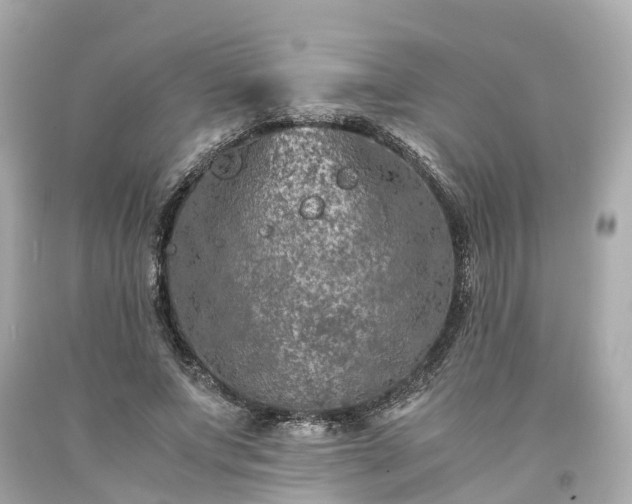 X0000094180687200711021006