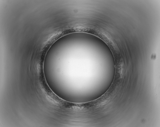 X0000094180690200711021006