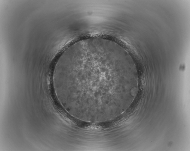 X0000094180691200711021006