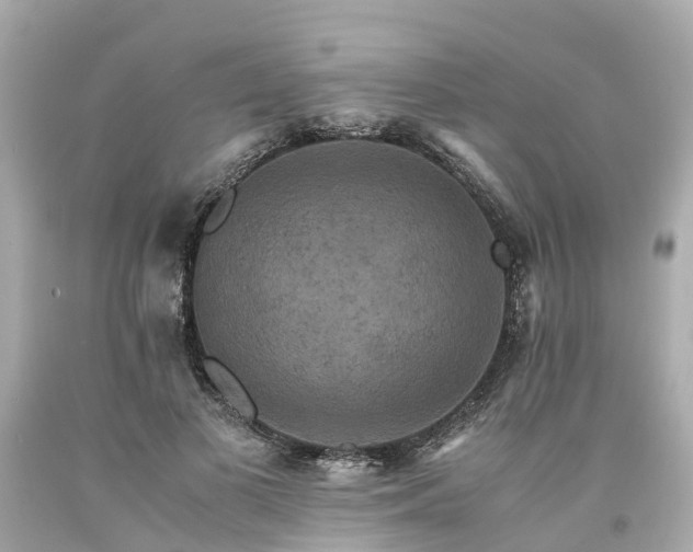 X0000094180693200711021005