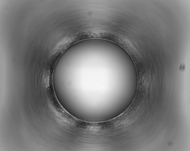 X0000094180694200711021005