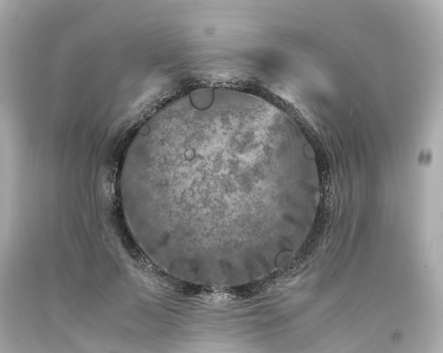 X0000094180695200711021005