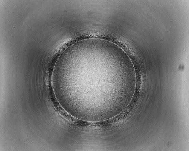 X0000094180696200711021005