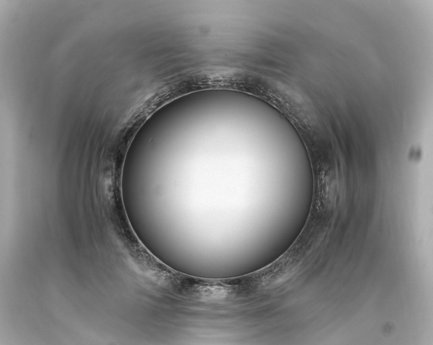 X0000094180698200711021005
