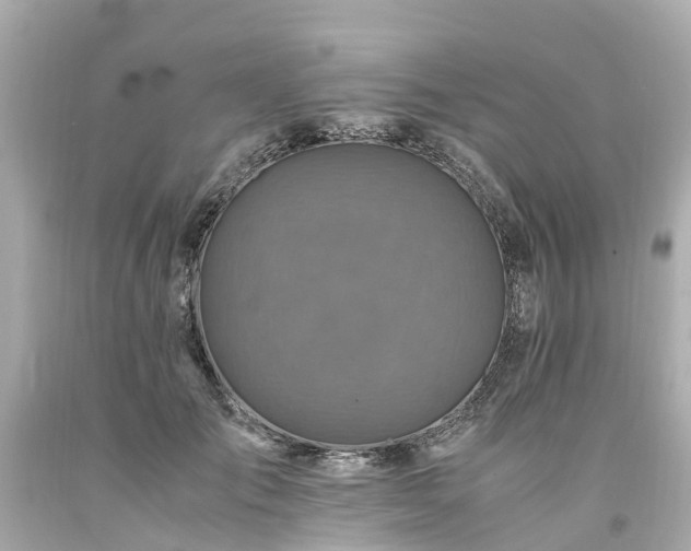 X0000094180701200711021005