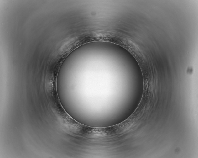 X0000094180702200711021005
