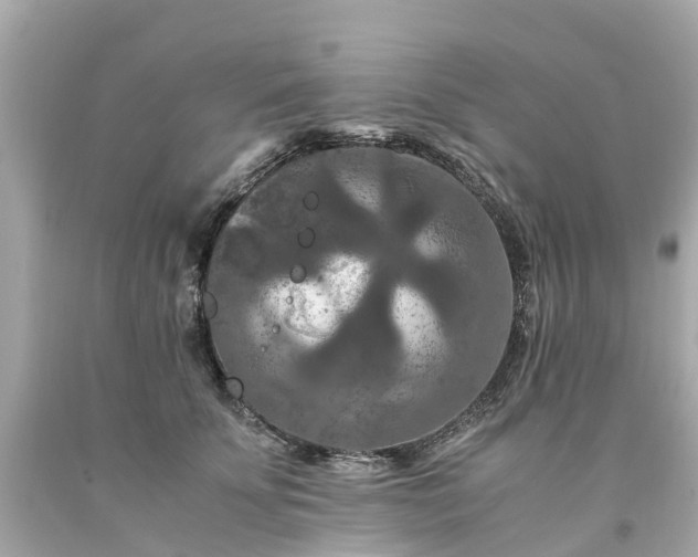 X0000094180707200711021005