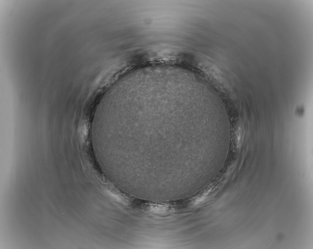 X0000094180709200711021005