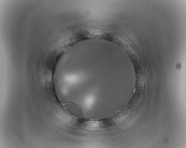 X0000094180711200711021005