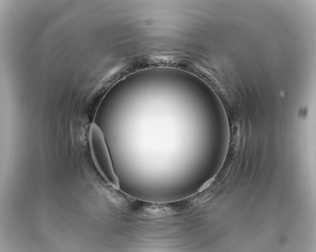 X0000094180712200711021005