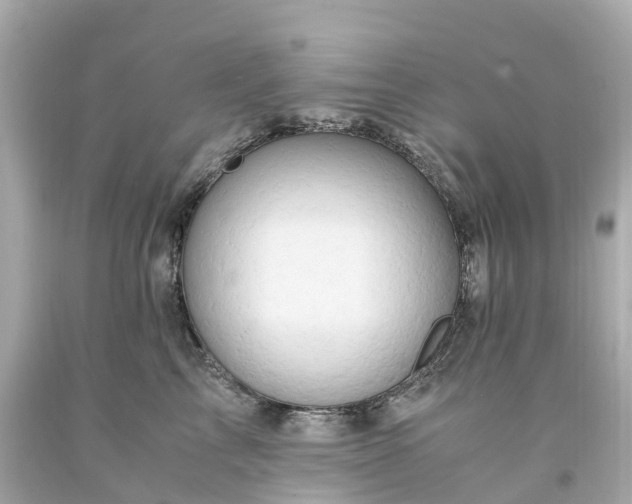 X0000094180713200711021005