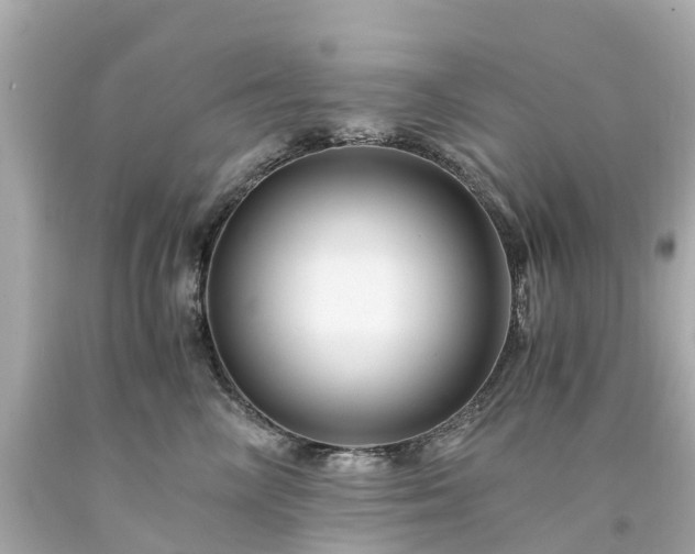 X0000094180714200711021005
