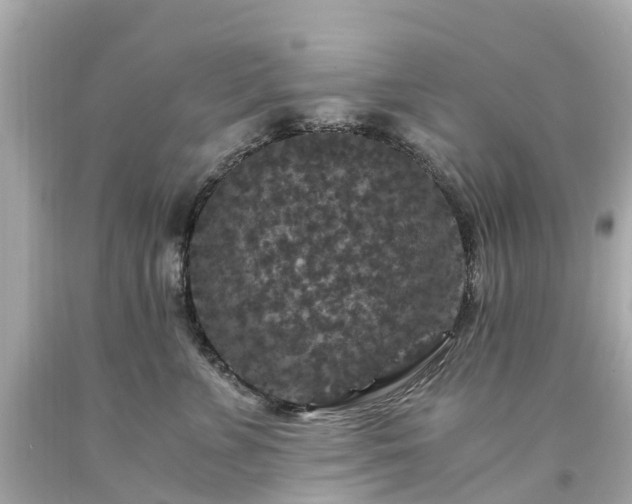 X0000094180715200711021005