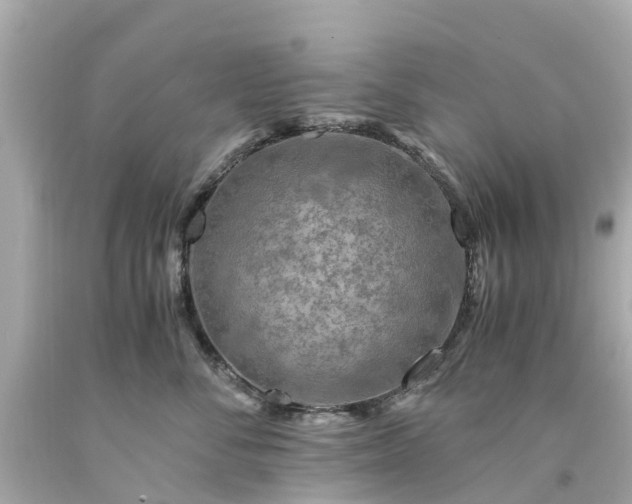 X0000094180716200711021005