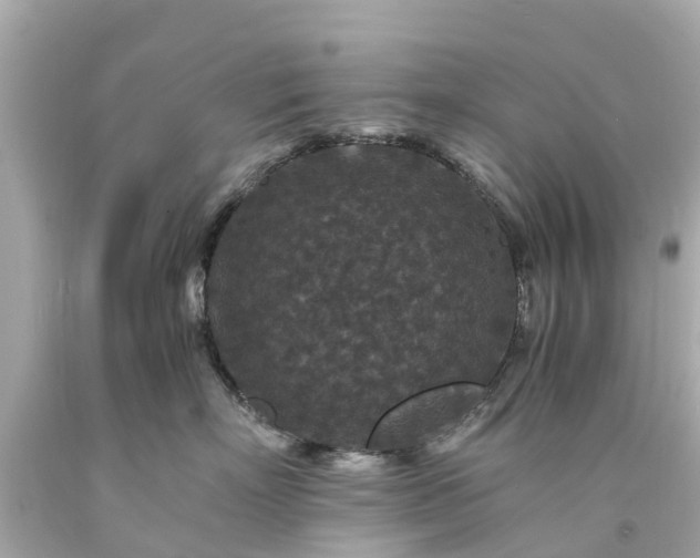 X0000094180718200711021005
