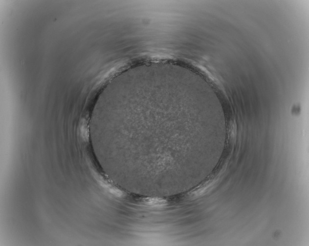 X0000094180719200711021005