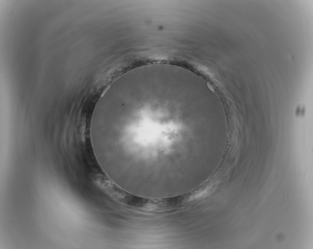 X0000094180720200711021005