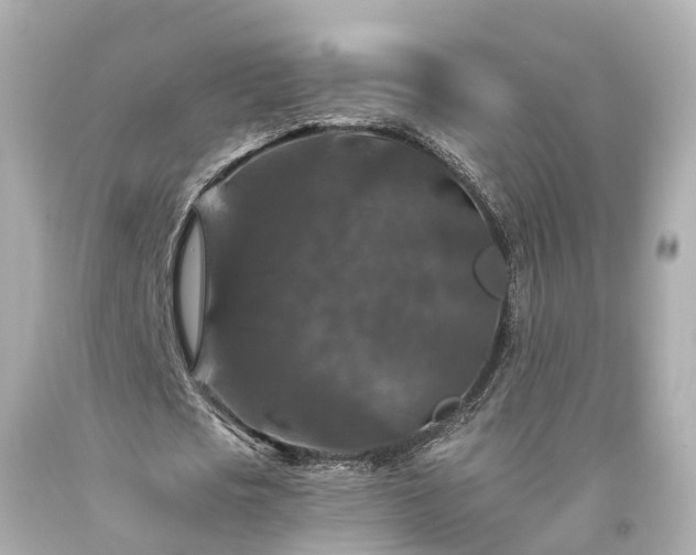 X0000094180721200711021004