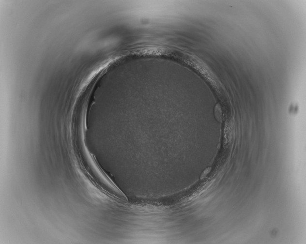 X0000094180722200711021004