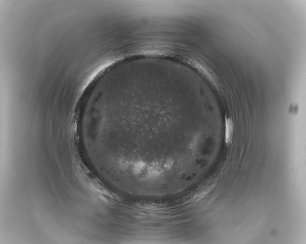X0000094180723200711021004