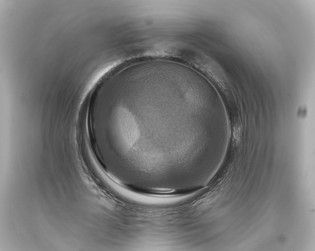 X0000094180724200711021004