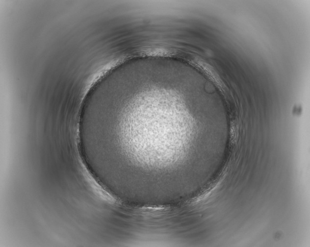 X0000094180725200711021004