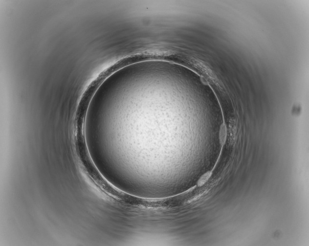 X0000094180726200711021004