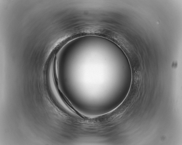 X0000094180727200711021004
