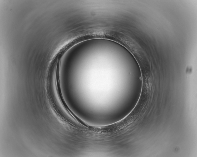 X0000094180728200711021004