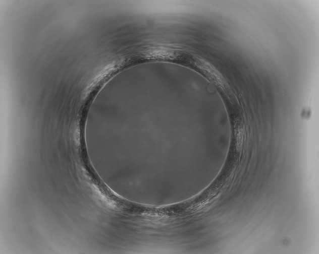 X0000094180729200711021004