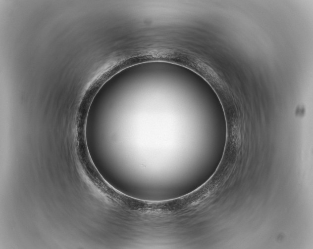 X0000094180730200711021004