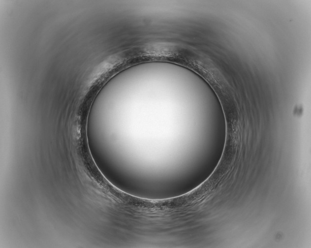X0000094180731200711021004