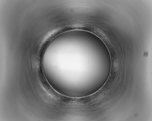X0000094180732200711021004