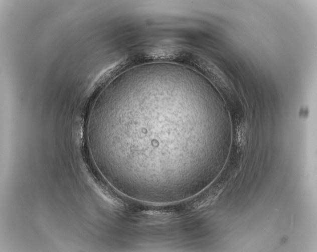 X0000094180733200711021004