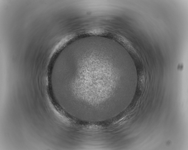 X0000094180734200711021004