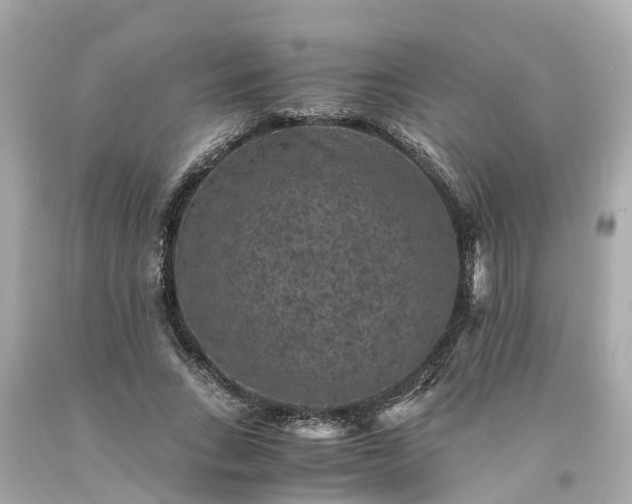 X0000094180735200711021004