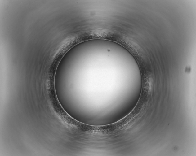 X0000094180738200711021005