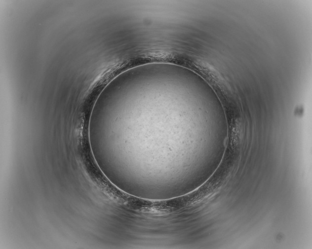 X0000094180739200711021005