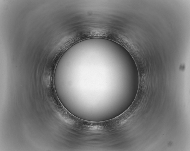 X0000094180741200711021005