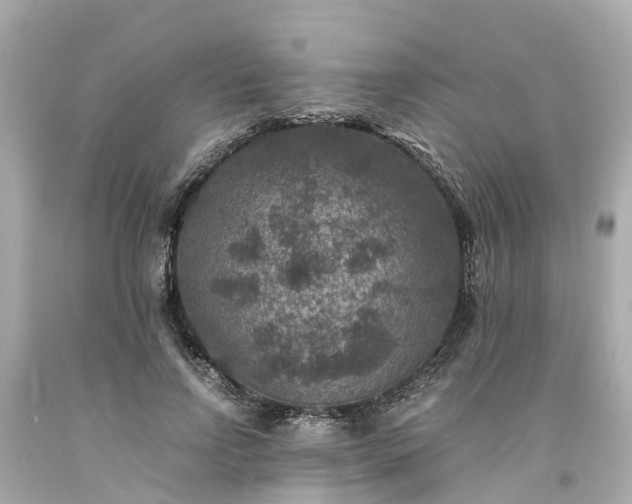 X0000094180742200711021005