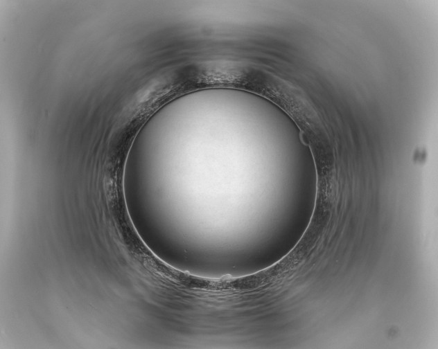 X0000094180743200711021005