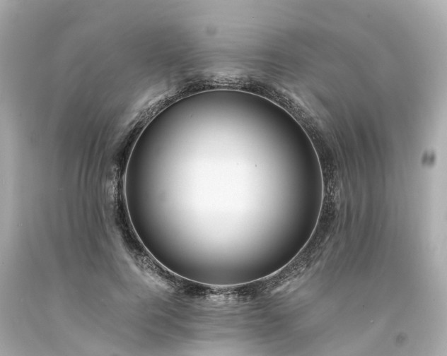 X0000094180744200711021005